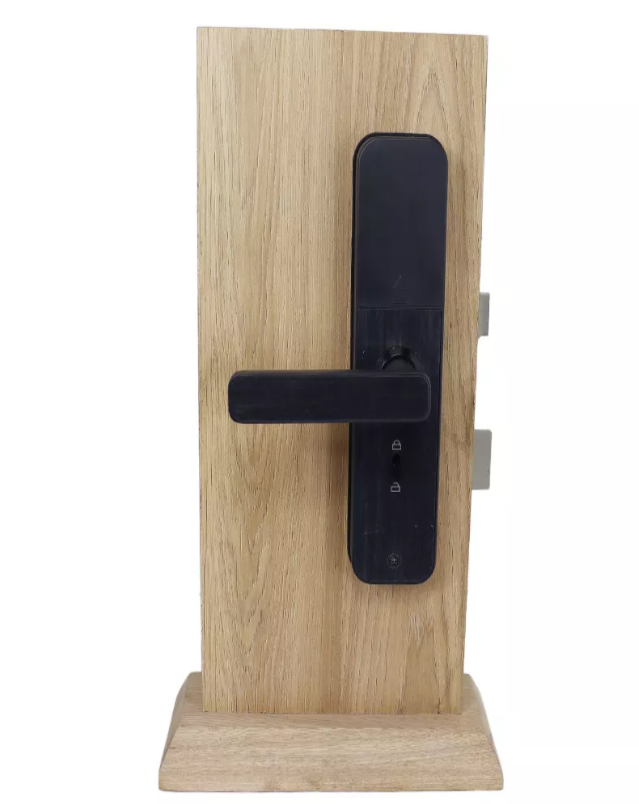Cerradura Inteligente Pantalla Tactil Para Entrada Principal Wifi Color Negro Tokio S5 - Imagen 5