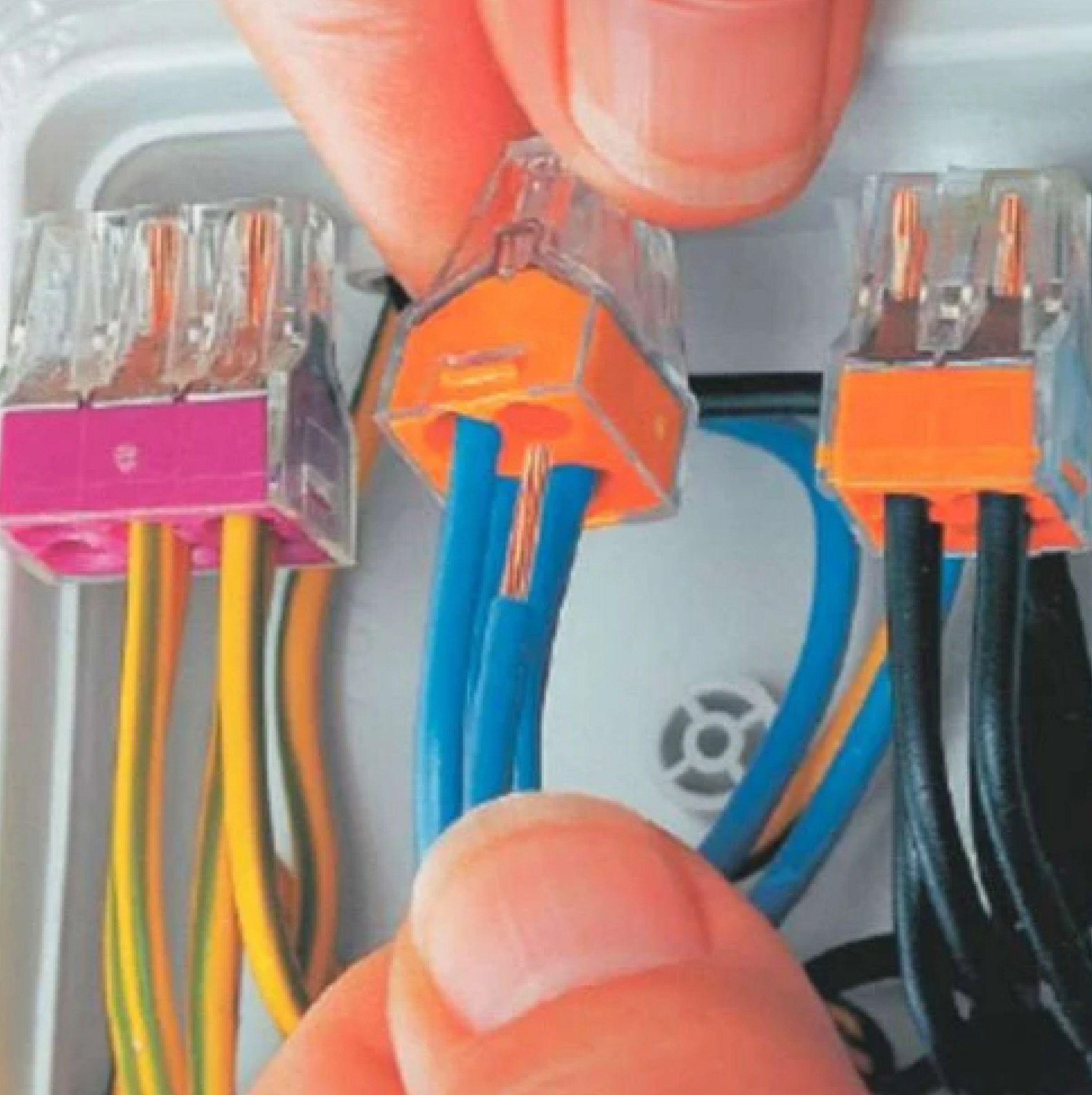 CONECTOR WAGO PALA TRAS ALAMBRE 18-12AWG 4POL 7 HILOS 16-12AWG 600V-24A WAGO 773-104 - Imagen 3