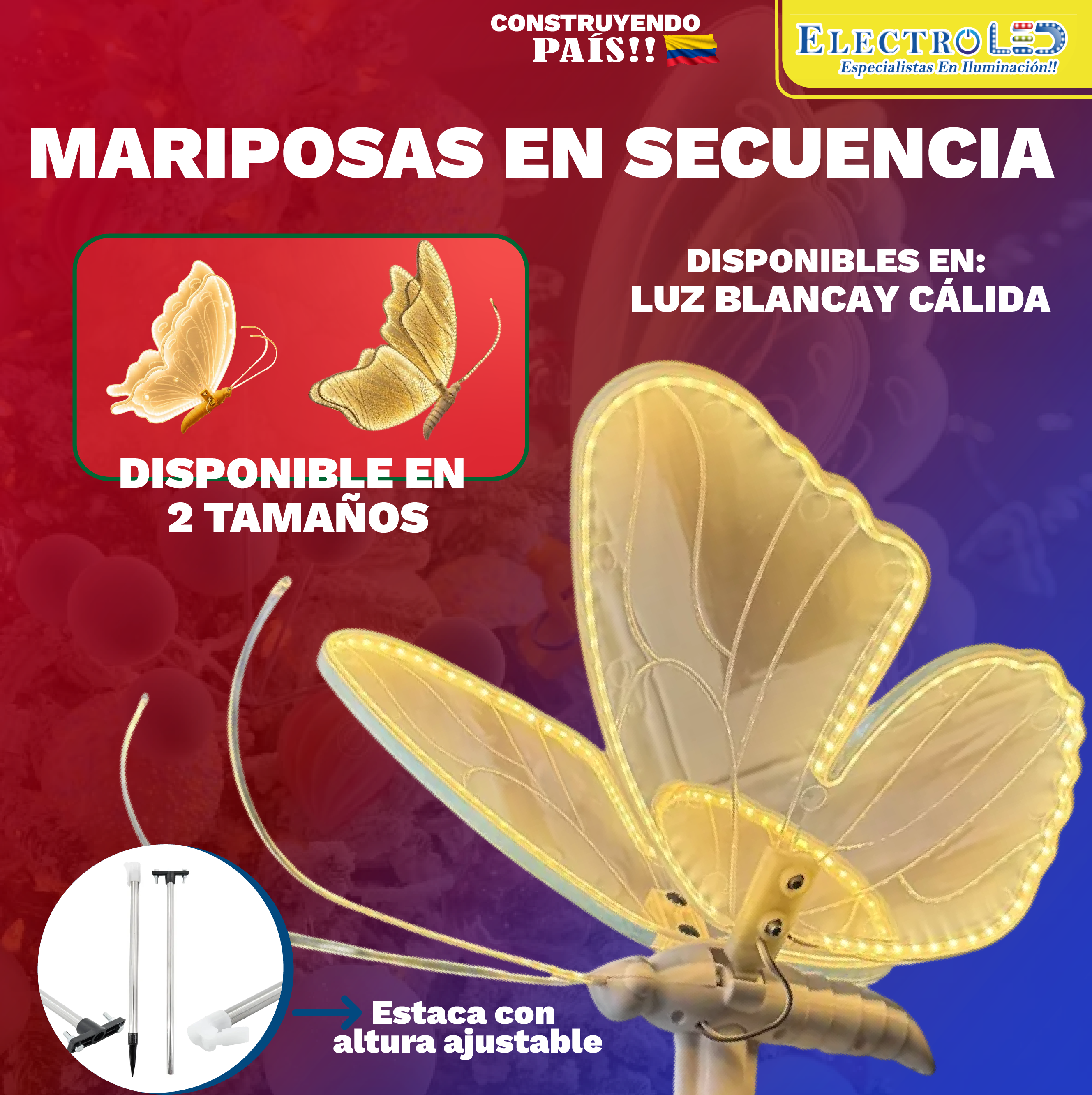 festividades-04